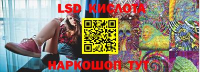 индика Ярославль