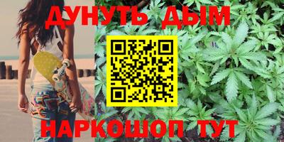 индика Ярославль