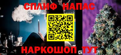 индика Ярославль